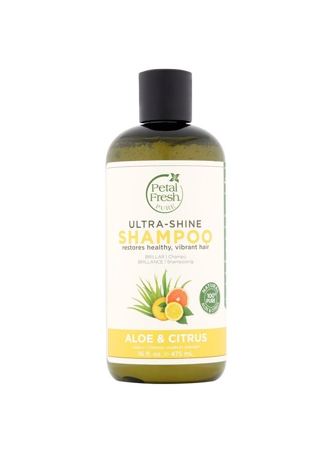 Petal fresh Bio Creative Lab Petal Fresh Shampoo, Aloe and Citrus, 16 Ounce  - Image 1