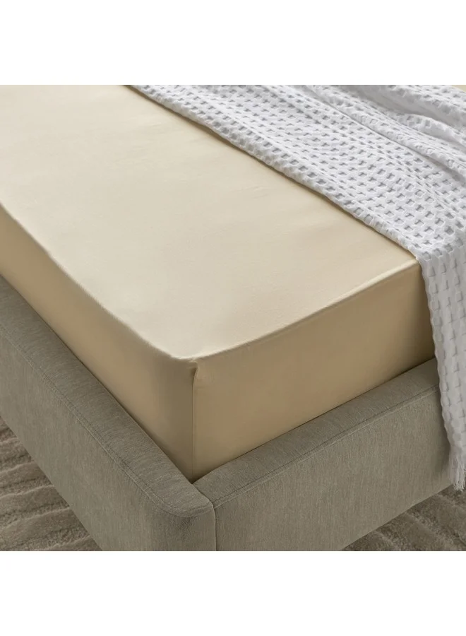 Home Box Houston Daisley Cotton Twin Fitted Sheet 120 x 200 x 33 cm