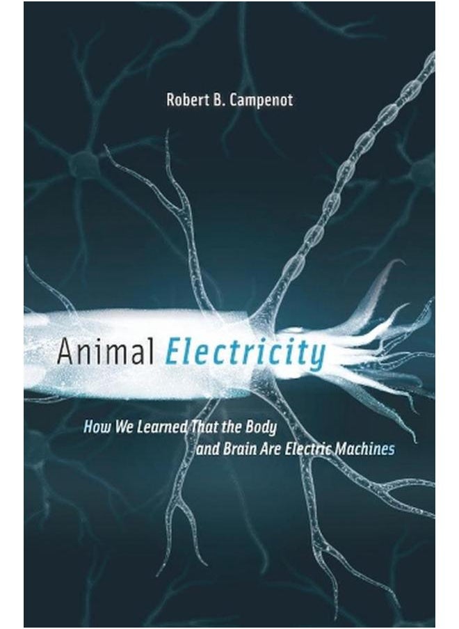 Animal Electricity  How We Learned That the Body and Brain Are Electric Machines 