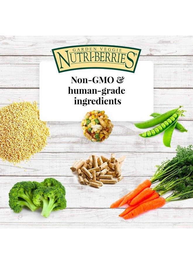 لافيبيرز طعام طيور LAFEBER'S Garden Veggie Nutri-Berries Pet Bird، مصنوع من مكونات غير معدلة وراثيًا ومناسبة للبشر، للببغاوات، 3 رطل  - Image 3