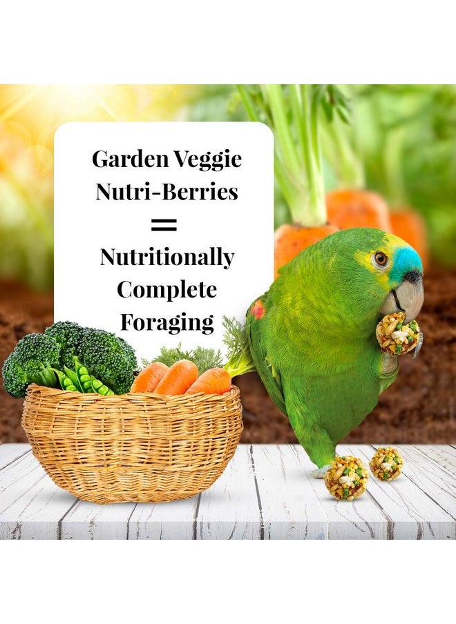 لافيبيرز طعام طيور LAFEBER'S Garden Veggie Nutri-Berries Pet Bird، مصنوع من مكونات غير معدلة وراثيًا ومناسبة للبشر، للببغاوات، 3 رطل  - Image 1