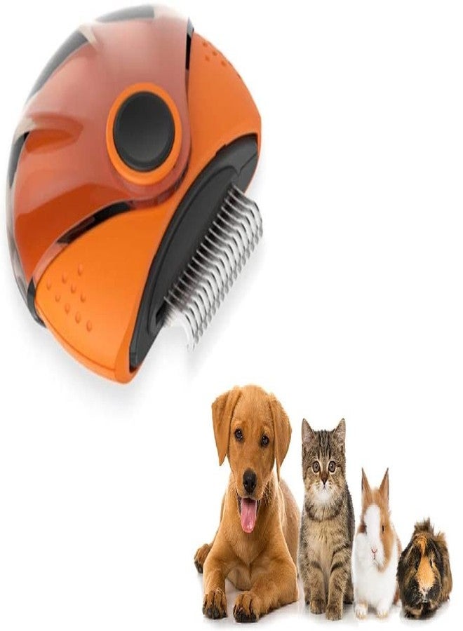 Mixen Cat Comb Dog Hair Brush, 3 in 1 Small Animal Grooming Tool, Shedding Comb for Dogs, Cats& Rabbit - Undercoat Brush for Short Hair Pets - You Can Take Care Your Pet Anywhere || Multi - Image 1