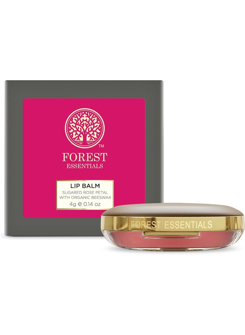 فورست اسينشالز مرطب شفاه فوريست إسينشالز لوشس سكري بتلات الورد، 4 غرام - Image 1