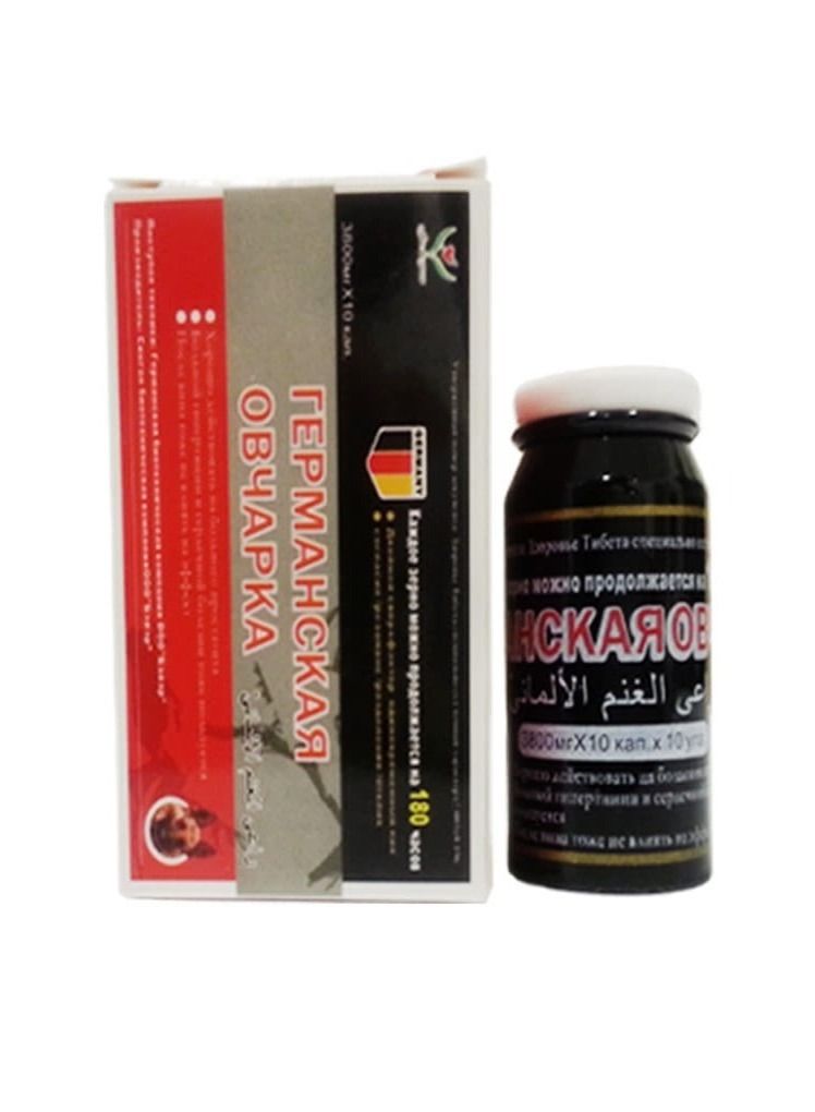 شيبى حبوب راعي الغنم