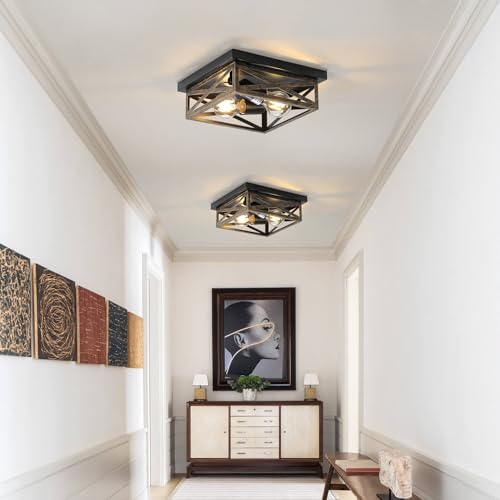 DIKAIDA 2Pack Rustic Flush Mount Ceiling Light Fixture, Modern Farmhouse Light Fixture, Kitchen Hallway Light Fixtures for Bedroom,Dining Room Entryway,Industrial Metal Cage Ceiling Light - Image 2