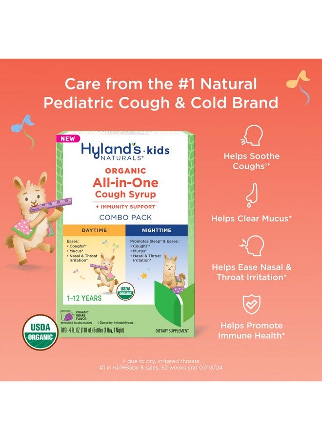 Hyland's Kids Organic All-in-One Grape Cough Syrup Day & Night, Two 4 Ounce Bottles - Image 2