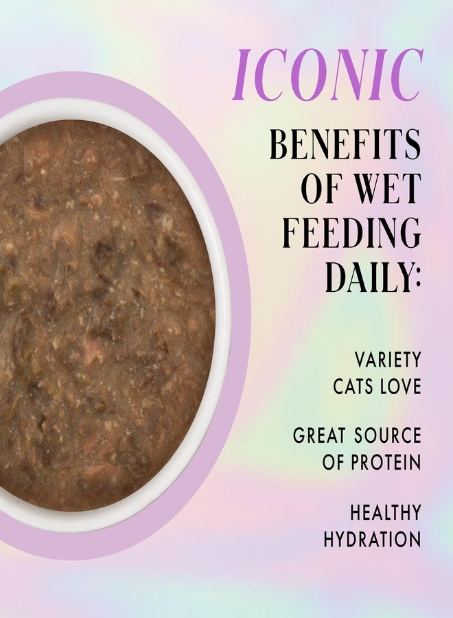 Weruva Paris Hilton Pamper Like Paris Wet Cat Food, Beef and Salmon in Gravy, 2.47oz Pouch, Pack of 12 - Image 3