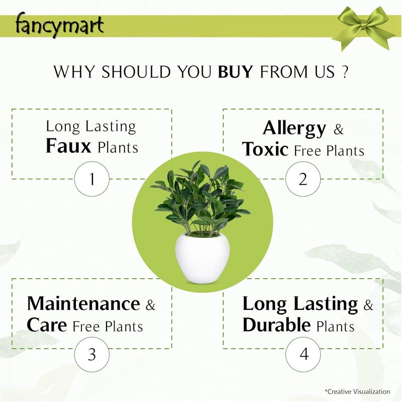 fancymart Artificial Rubber Plant in 6 inch White Apple Pot (Height 32 cm) for Home and Office Decor Plants for Decoration, Realistic Green Decorative for Interior, Living Room, Office Desk - Image 4