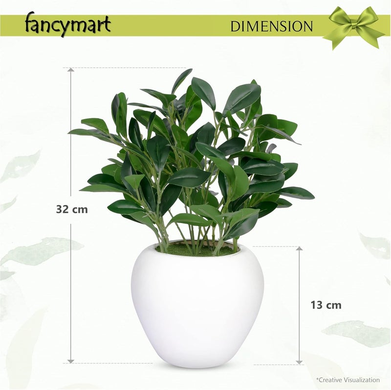 fancymart Artificial Rubber Plant in 6 inch White Apple Pot (Height 32 cm) for Home and Office Decor Plants for Decoration, Realistic Green Decorative for Interior, Living Room, Office Desk - Image 3