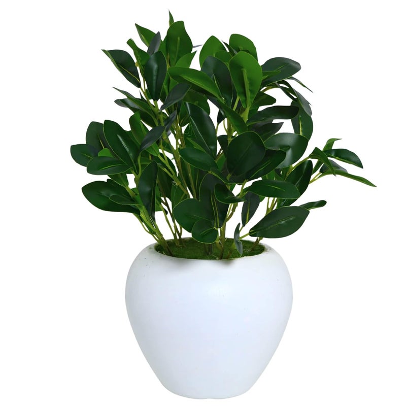 fancymart Artificial Rubber Plant in 6 inch White Apple Pot (Height 32 cm) for Home and Office Decor Plants for Decoration, Realistic Green Decorative for Interior, Living Room, Office Desk - Image 1