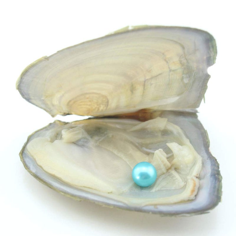 ingsi Love Wish Cultured Oyster with Round Pearls Inside for Gift - 10PC (7-8mm) - Image 3