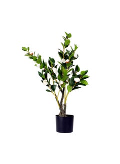Generic Camellia Faux Plant Artificial  White Plant, 70 cm  - Image 1