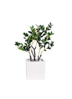 Generic Camellia Faux Plant Artificial  White Plant, 70 cm  - Image 5