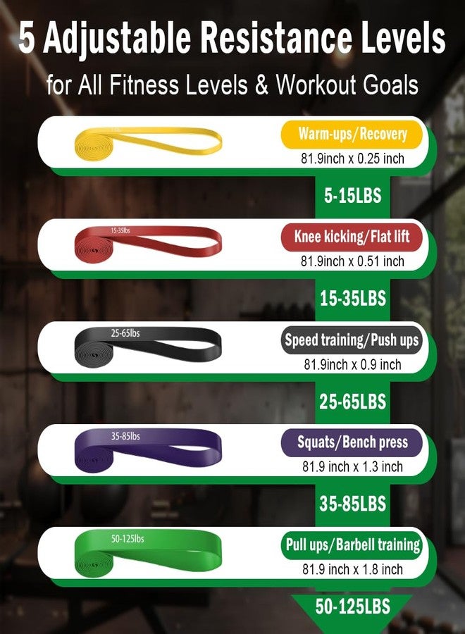 RYNEX Pull Up Assistance Bands, Resistance Bands Set with Handles for Men Women, Workout & Exercise Bands, 5-Level Elastic Bands for Working Out, Stretch Bands for Home Gym, Stretching & Physical Therapy - Image 2