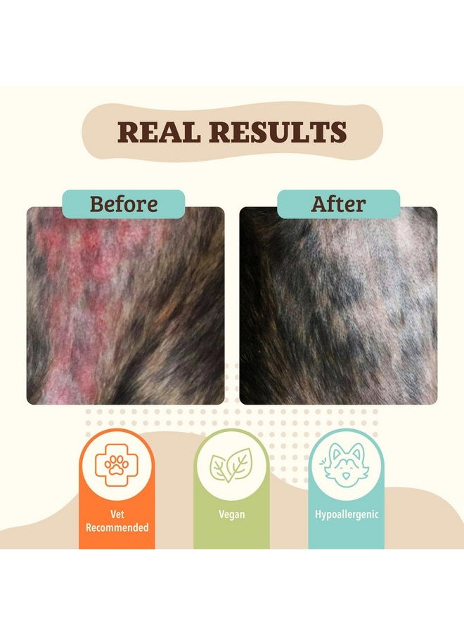  شركة Natural Dog - مهدئ للبشرة من شركة Natural Dog Company، 0.15 أونصة، عصا سفر، لتخفيف الحساسية والحكة لدى الكلاب، يدعم أعراض البقع الساخنة، مرطب للكلاب للبشرة الجافة، غسول للكلاب، بلسم علاجي نهائي، كريم لعلاج طفح جلدي للكلاب - Image 1