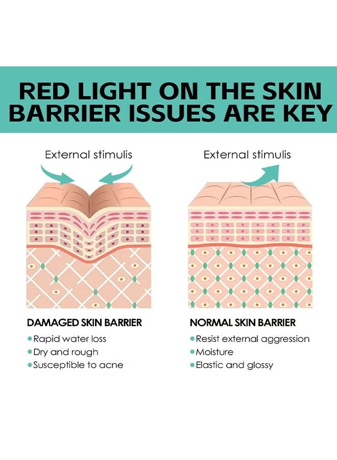 EELHOE Polypeptide Cream, Anti-Wrinkle And Anti-Aging Moisturizer, Facial Moisturizing Cream, Protein Face Moisturizer With Amino Acids, Firm Moisturize Skin, 50 ML - Image 5