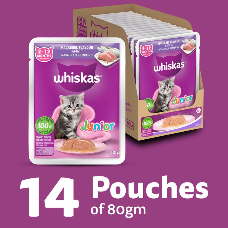 Whiskas طعام قطط رطب ويكساس جونيور (2-12 شهرًا) بنكهة الماكريل، 80 جرام × 14، تغذية كاملة ومتوازنة 100%، يدعم نظام المناعة الصحي - Image 2