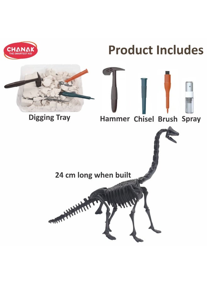 Chanak Dinosaur Skeleton Dig Kit Brachiosaurus Edition Excavation Fossil Discovery Steam Educational Archaeology Kit Fun Science Activity - Image 3