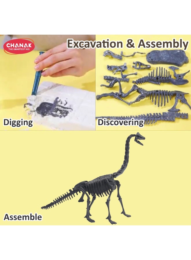 Chanak Dinosaur Skeleton Dig Kit Brachiosaurus Edition Excavation Fossil Discovery Steam Educational Archaeology Kit Fun Science Activity - Image 5