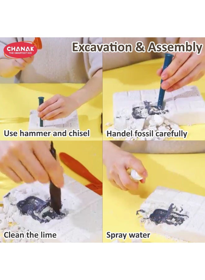 Chanak Dinosaur Skeleton Dig Kit Brachiosaurus Edition Excavation Fossil Discovery Steam Educational Archaeology Kit Fun Science Activity - Image 4