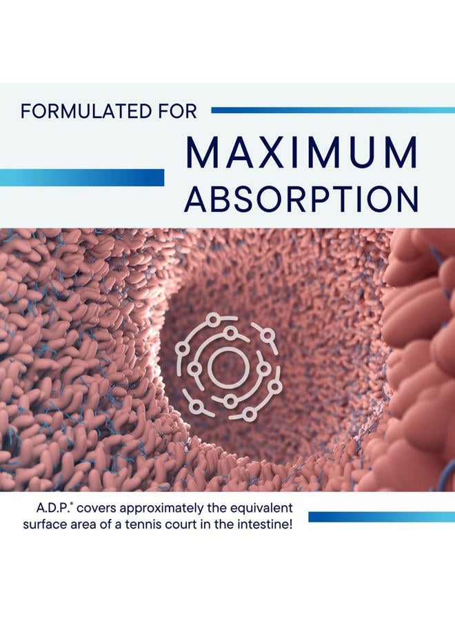 BIOTICS A.D.P.- Emulsified Oil of Oregano -Patented Formula, Wild Oregano Oil 50mg/S- Highly Concentrated Carvacrol - Sustained Release for High Absorption, GI Health –120 Tablets - Image 2