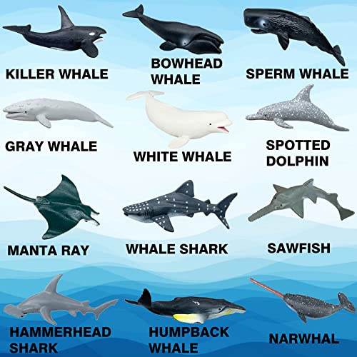 Higherbros Sharks Figures Sea Animals Whale Toys Set Ocean Animal Action Figures Great for Kids Bath Toys Beach Toy Cake Topper and Party Favors Gifts Prizes Rewards 12 PCS - Image 5