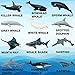 Higherbros Sharks Figures Sea Animals Whale Toys Set Ocean Animal Action Figures Great for Kids Bath Toys Beach Toy Cake Topper and Party Favors Gifts Prizes Rewards 12 PCS - Image 2
