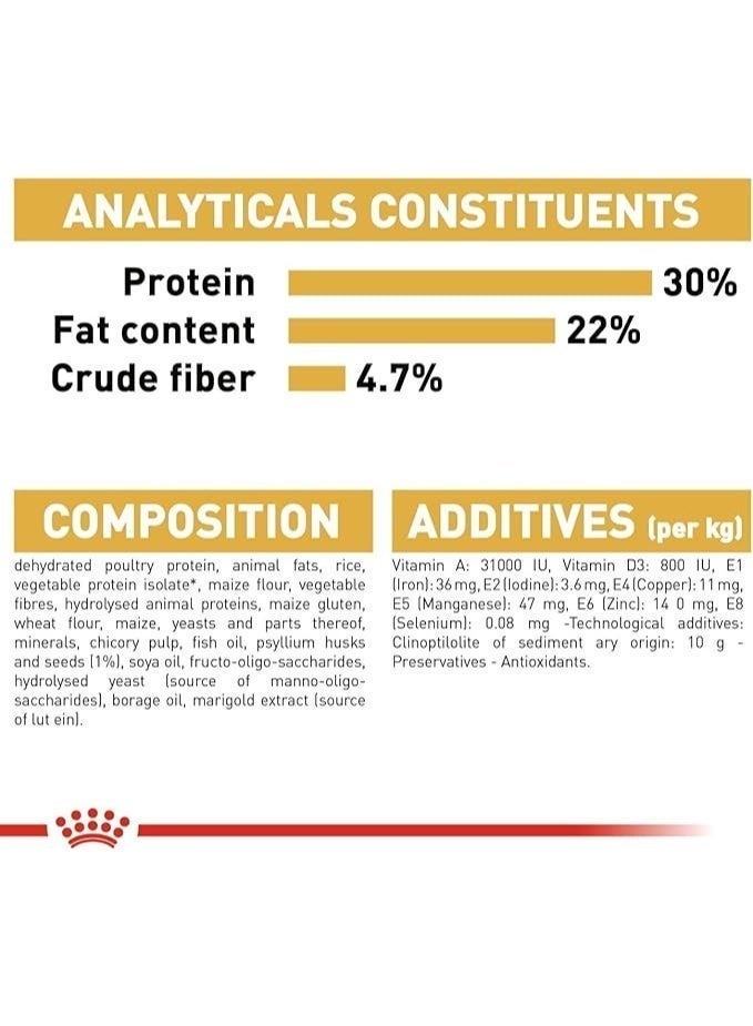 رويال كانين طعام القطط الفارسية من رويال كانين - Image 5