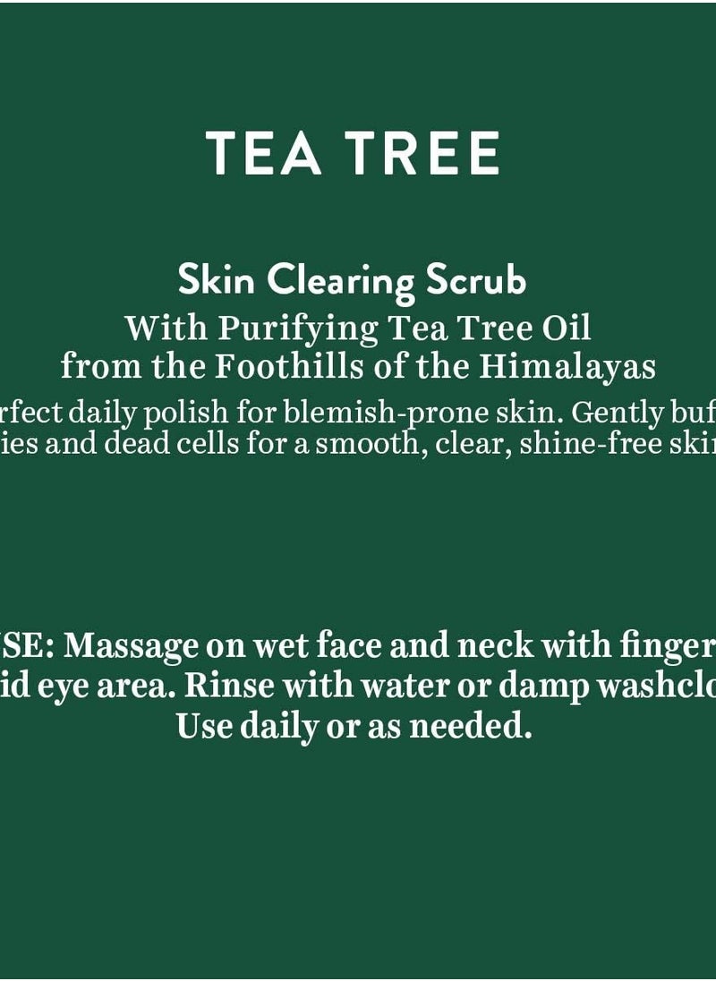 Biotique Biotique Tea Tree Skin Clearing Face Scrub for Normal to Oily Skin, 50g  - Image 4