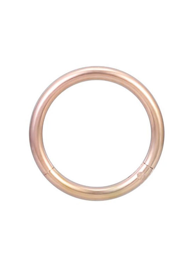 NIBEMINENT - Stainless Steel Hinged Nose Hoop Ring - Image 1