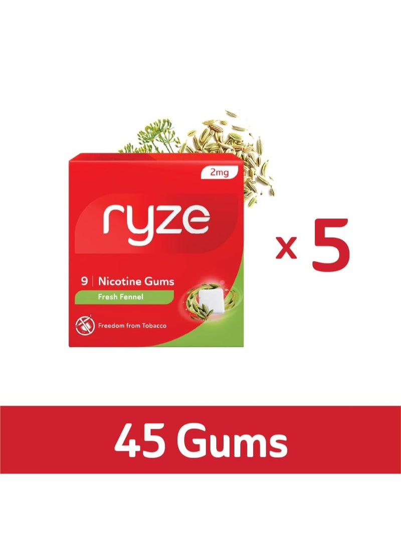 رايز علكة رايز نيكوتين ٢ ملغ | عبوة من ٥ قطع (٤٥ علكة) | بنكهة الشمر المنعشة | التخلص من التدخين والتبغ | لطيفة على الحلق | خالية من السكر | تبييض الأسنان - Image 1
