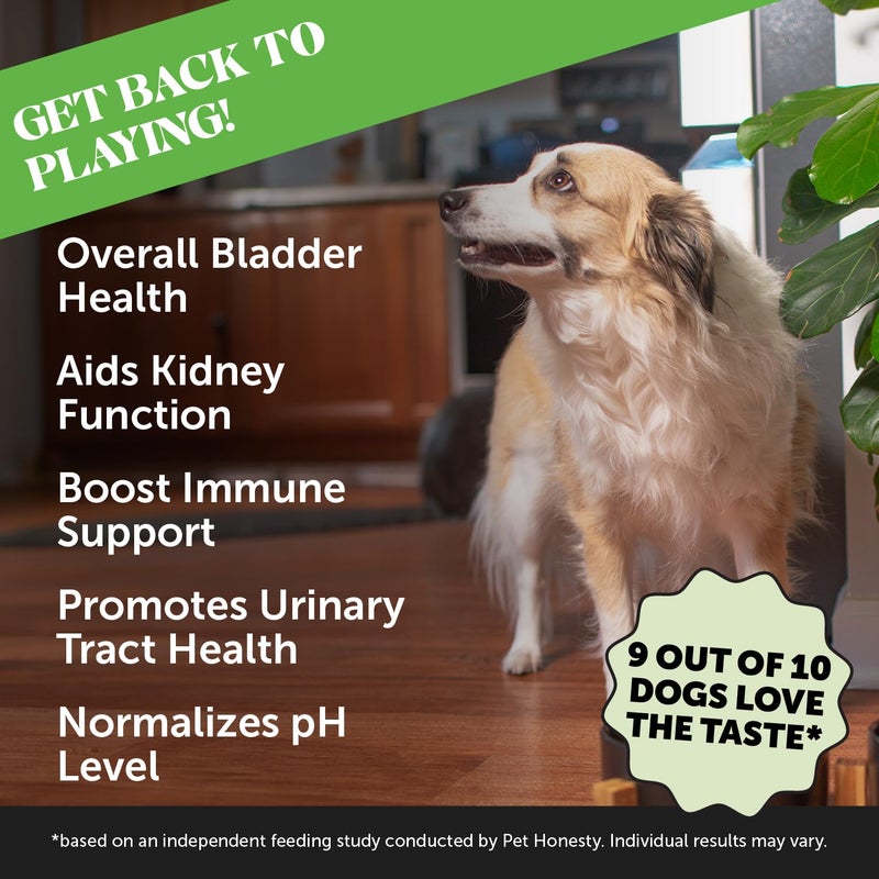 Pet Honesty Bladder Health Cranberry Supplement for Dogs â€“ Kidney Support for Dogs, Cranberry & D-Mannose for Dog Urinary Tract Health, Dog Urine & Bladder Support (Chicken) - Image 2