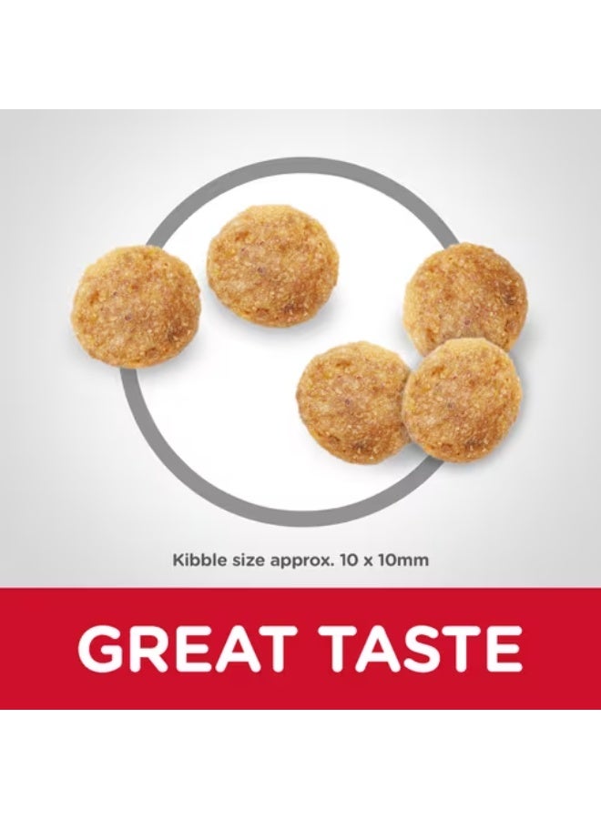 هيلز ساينس بلان غذاء بطعم الدجاج للقطط البالغة 15 كجم - Image 4