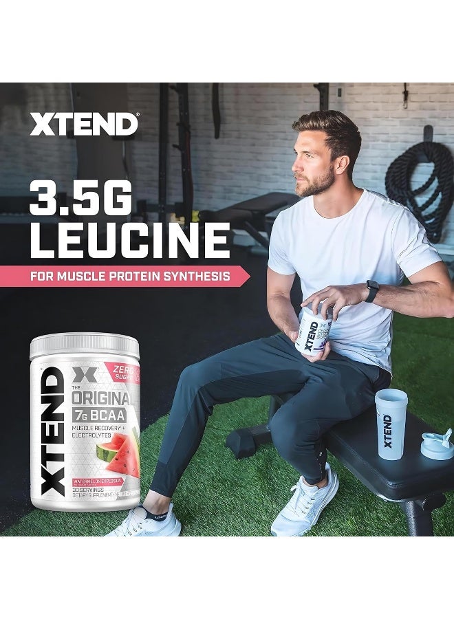 اسكتيند مسحوق BCAA الأصلي بدون سكر مع إلكتروليتات للترطيب وإصلاح العضلات، مكمل بعد التمرين، بنكهة البطيخ – 30 حصة - Image 5