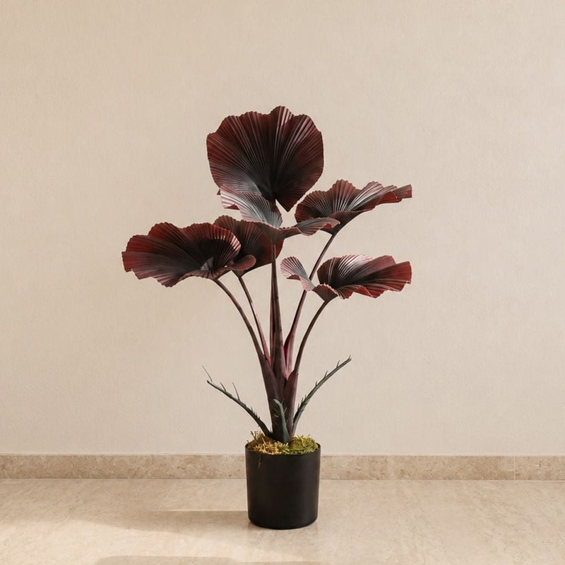 DANUBE HOME Fan Palm Plant - 60Cm, Red, Stylish Plant, Pe ,For Adding Lifelike Greenery, Decorating Homes, Offices, Balconies, Patios, Entrances, Shelves - Image 1