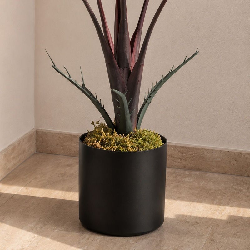DANUBE HOME Fan Palm Plant - 60Cm, Red, Stylish Plant, Pe ,For Adding Lifelike Greenery, Decorating Homes, Offices, Balconies, Patios, Entrances, Shelves - Image 3