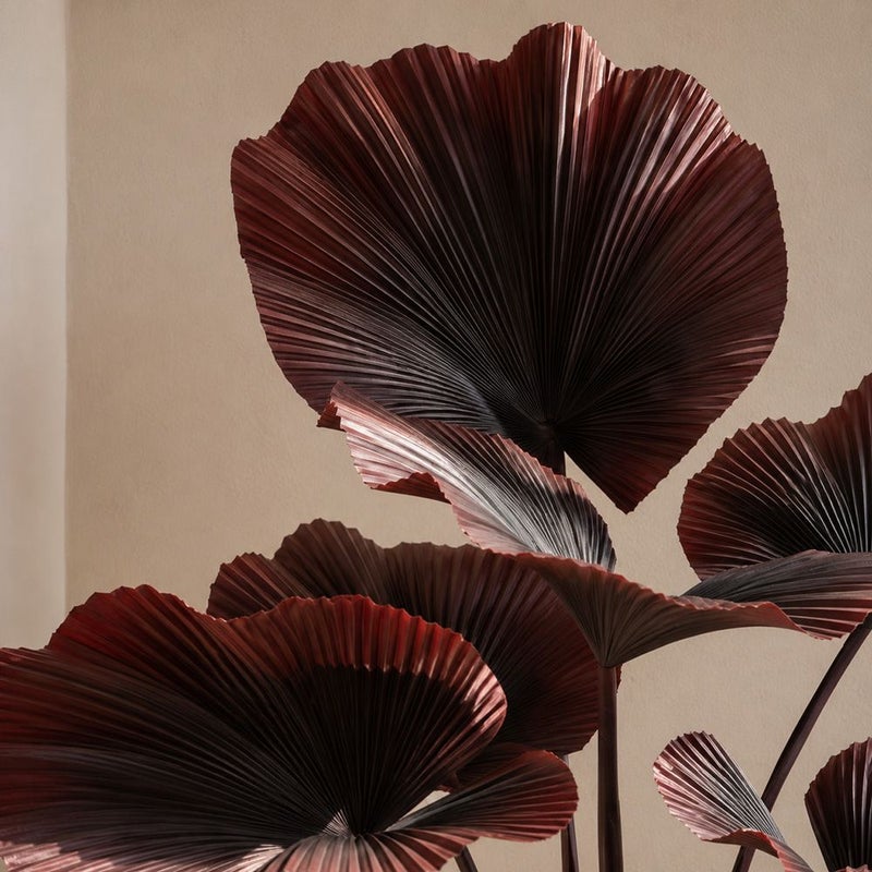 DANUBE HOME Fan Palm Plant - 60Cm, Red, Stylish Plant, Pe ,For Adding Lifelike Greenery, Decorating Homes, Offices, Balconies, Patios, Entrances, Shelves - Image 2