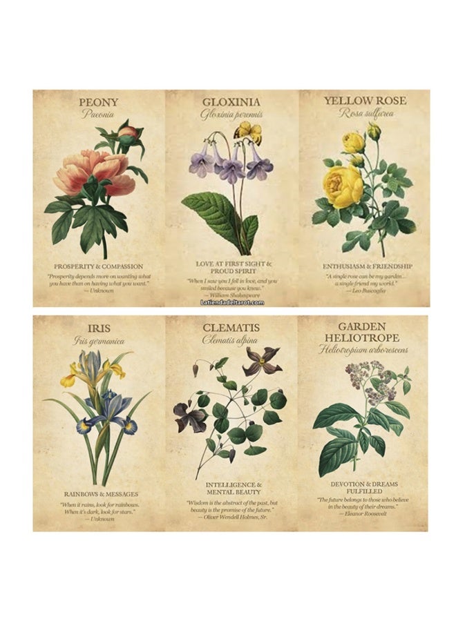 NIBEMINENT botanical inspration oracle cards - Image 5