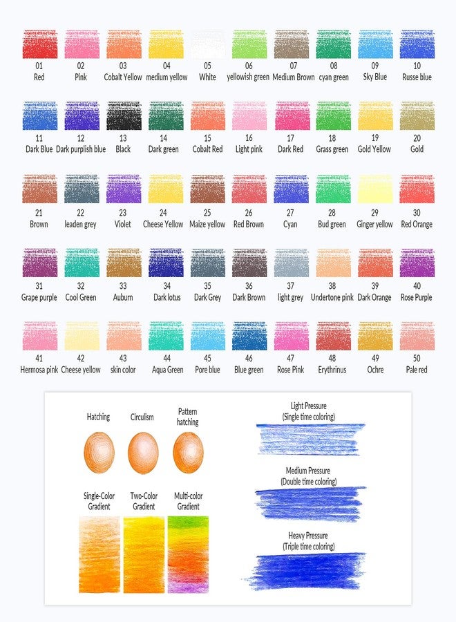 FUNLAVIE 48 Colored Pencils for Adult Coloring Books + 2 Metallic Colored Pencils,Soft Core Coloring Pencil Set,Drawing Pencil for sketching & Painting,Art Supplies for Teens,Oil-Based with Sharpener - Image 2