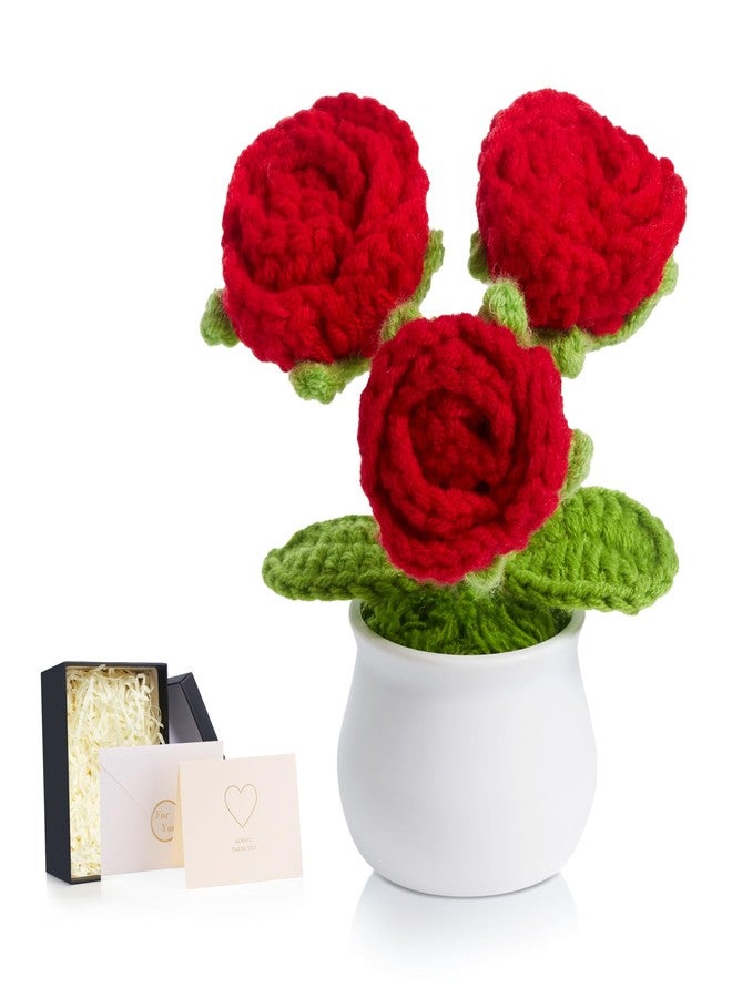 LAIDANLA Crochet Flowers Red Roses Mini Potted, Handmade Red Rose Anniversary Appreciation Birthday Gifts for Women Teacher Lover Mom Friend Knitted Flower for Desk Car Dashboard - Image 1
