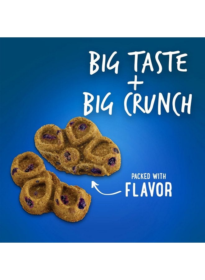 بسكويتات Fruitables Biggies Crunchy Dog للكلاب الكبيرة أو الصغيرة أو المتوسطة الحجم - مكافآت صحية للكلاب - مكافآت للكلاب بنكهة التوت الأزرق واليقطين - 16 أونصة (عبوة من 4 قطع) - Image 2