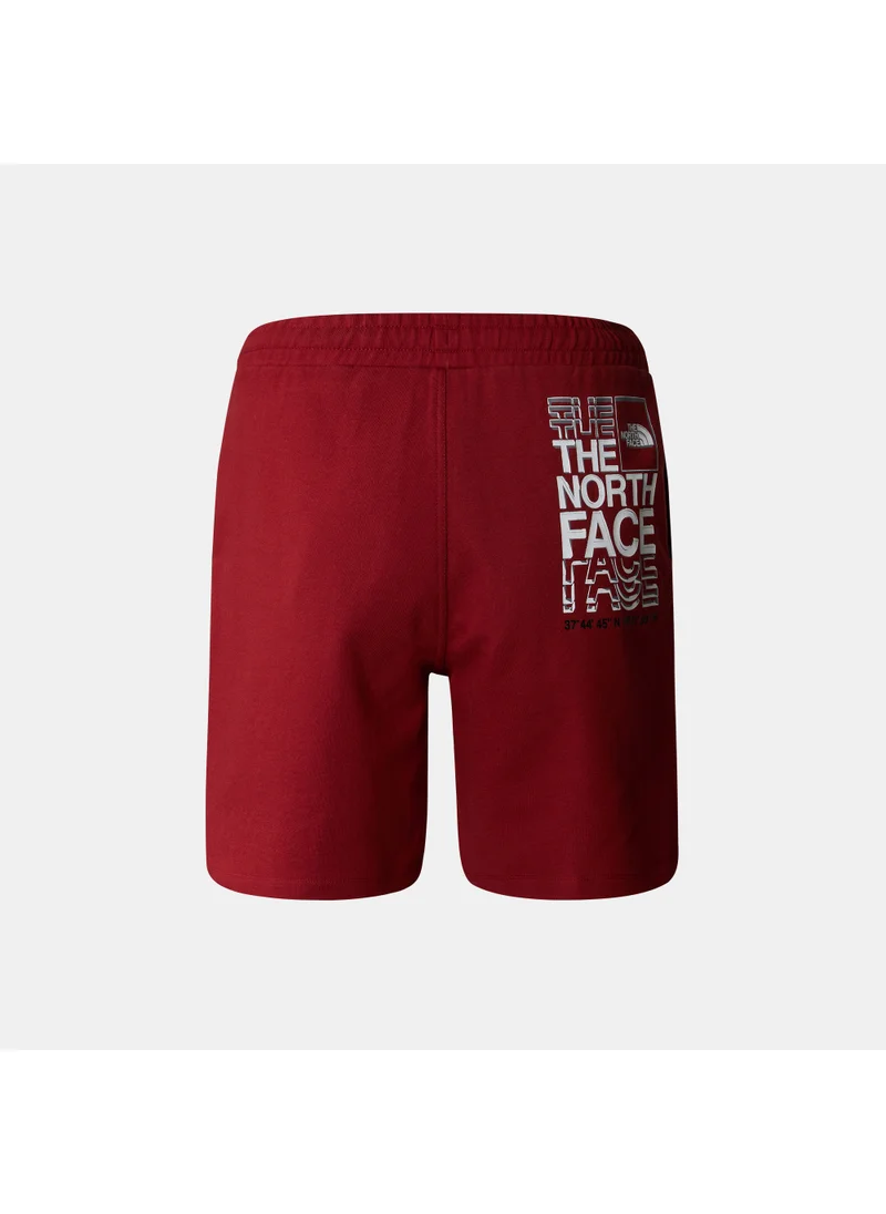 THE NORTH FACE Men's Coordinates Shorts