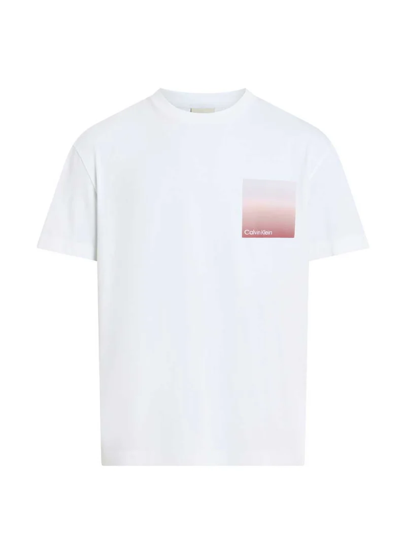 CALVIN KLEIN Logo T-shirt
