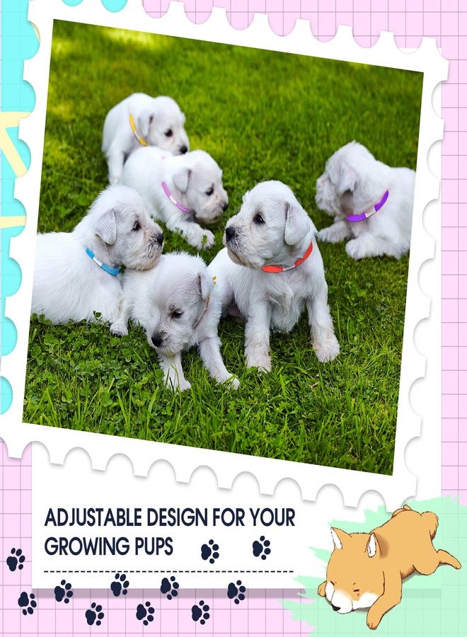 Nezyo 500 Count 18.5 Inch ID Bands Puppy Whelping Collars Newborn Pet Dog Collars Paper Pet Tags for Newborn Dog Cat Animal Hospitals(Classic Color) - Image 5
