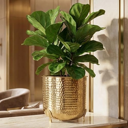 BEHOMA Metal Hammered Planter for Home Decor | Decoratives for Indoor Outdoor Balcony Living Room | Table Decorative Plant Pot for Gifting | Size Height- 7" x Dia. 7" inch |Golden (Plant not Included) - Image 1