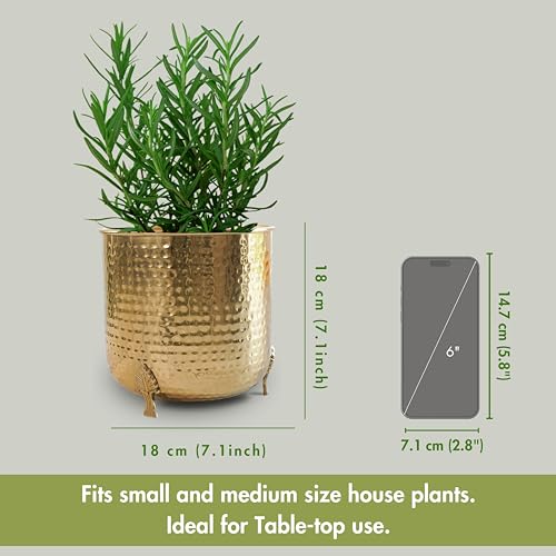 BEHOMA Metal Hammered Planter for Home Decor | Decoratives for Indoor Outdoor Balcony Living Room | Table Decorative Plant Pot for Gifting | Size Height- 7" x Dia. 7" inch |Golden (Plant not Included) - Image 4