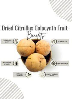 Awafi Mill AWAFI MILL Dried Citrullus Colocynth | Premium Natural Colocynth for Various Uses  - Image 3