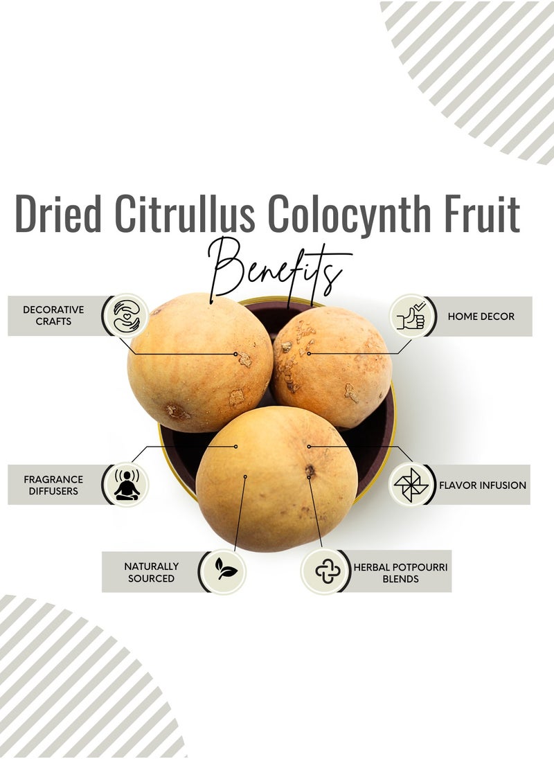 Awafi Mill - AWAFI MILL Dried Citrullus Colocynth | Premium Natural Colocynth for Various Uses - Image 1