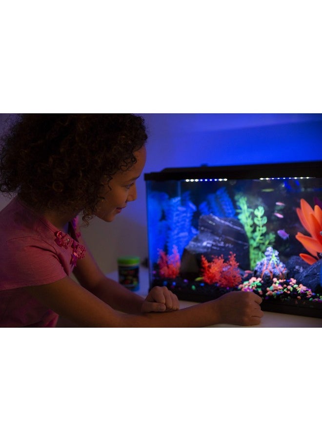 جلو فيش حصى حوض السمك من GloFish، حصى حوض السمك، أسود مع لمسات فلورية، مُكمل لأحواض GloFish، كيس بوزن 5 أرطال  - Image 4