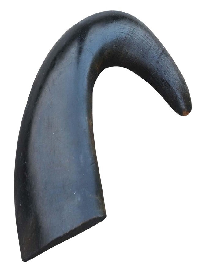 Homecute Water Buffalo Horn Treats for Dog Chew, A Chewy Delight for Your Pup, Chew Toys for Dogs, Dog Toys. - Image 1